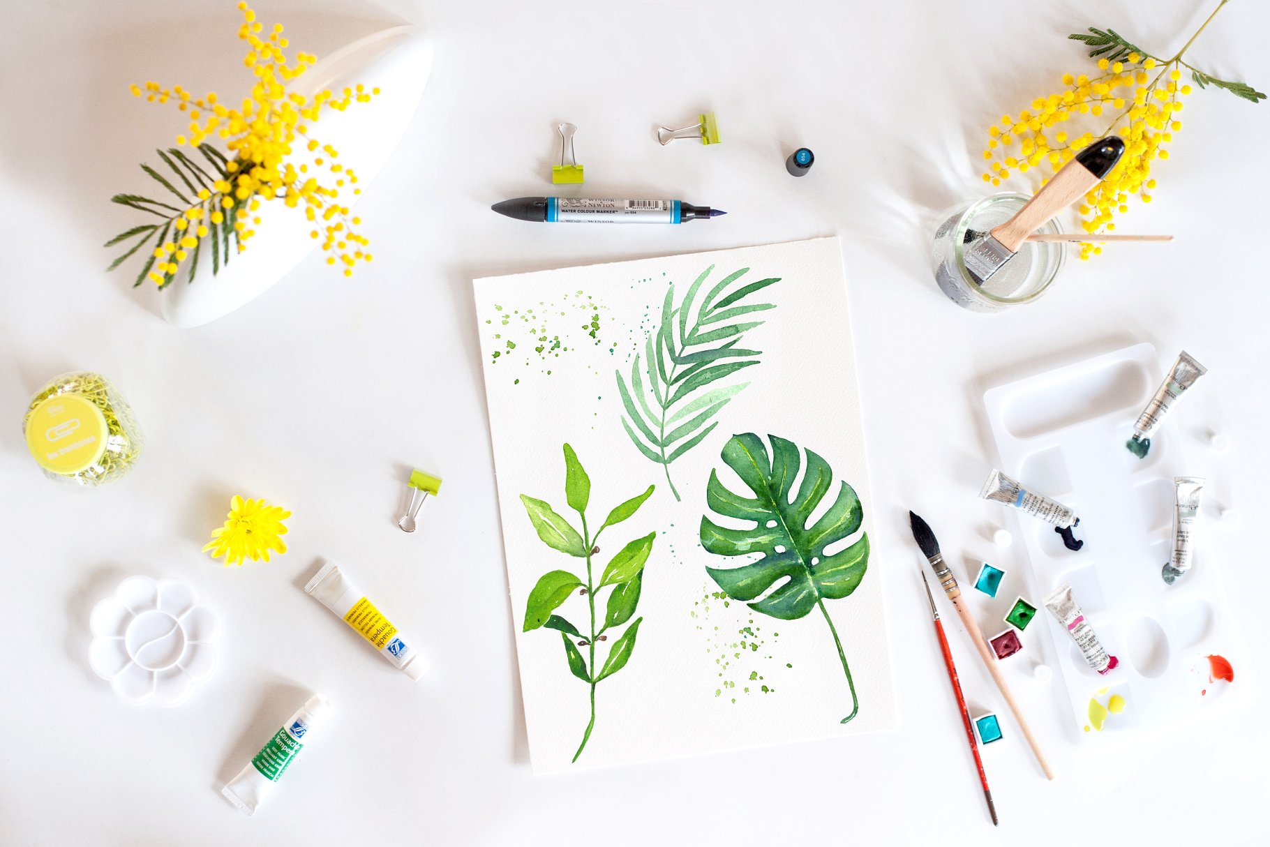 热带树叶树枝水彩画 Tropical leaves branches watercolors插图(5)