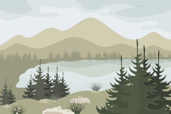 森林和山湖矢量插图 Forest2