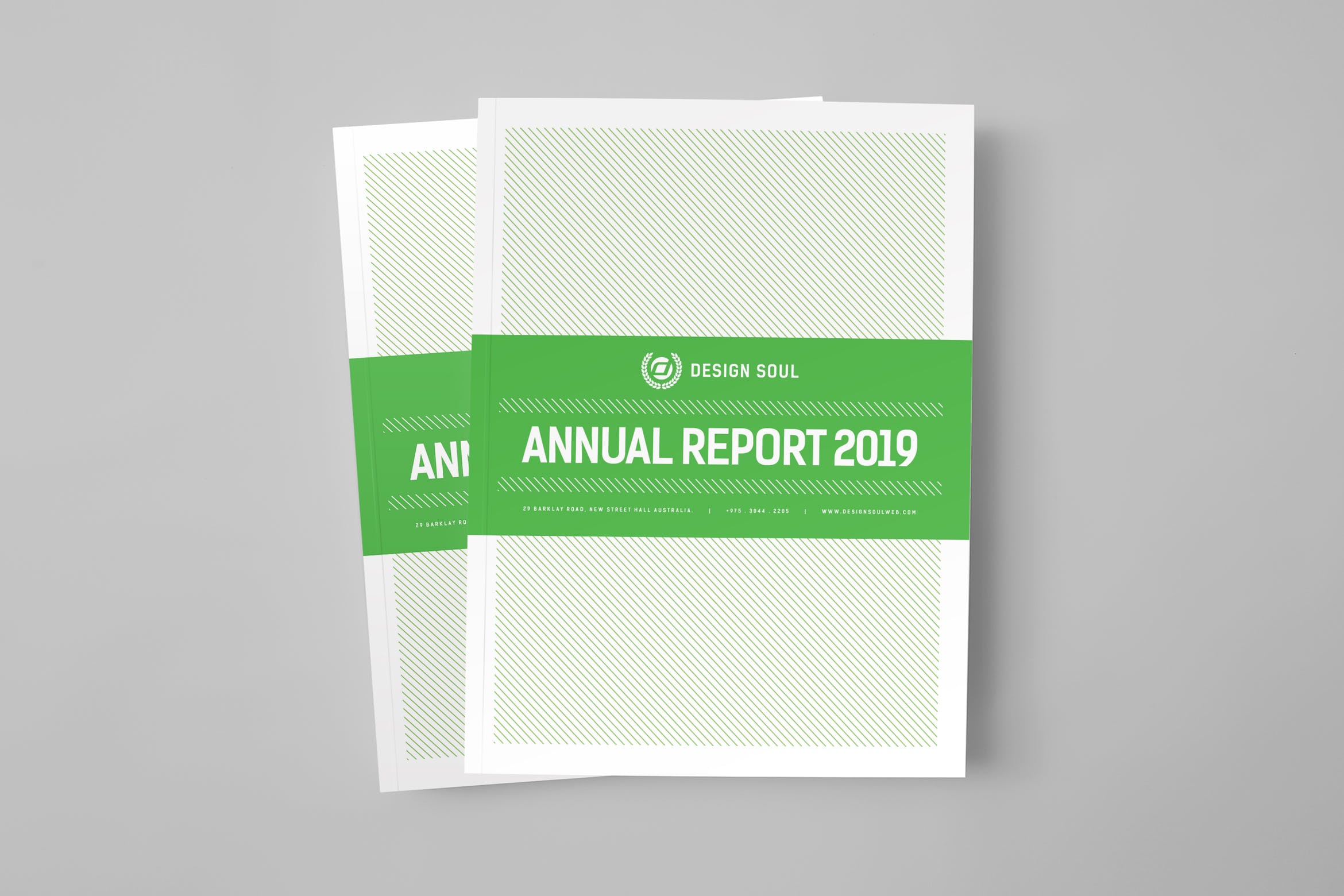 2019-2020企业年度报告/年报INDD设计模板 Annual Report插图