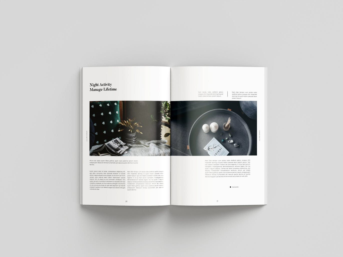 旅行/摄影/品牌主题杂志设计INDD模板 Magazine插图(11)