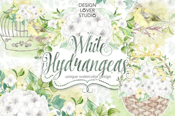 白色绣球花水彩插图设计素材 Watercolor White Hydrangeas design