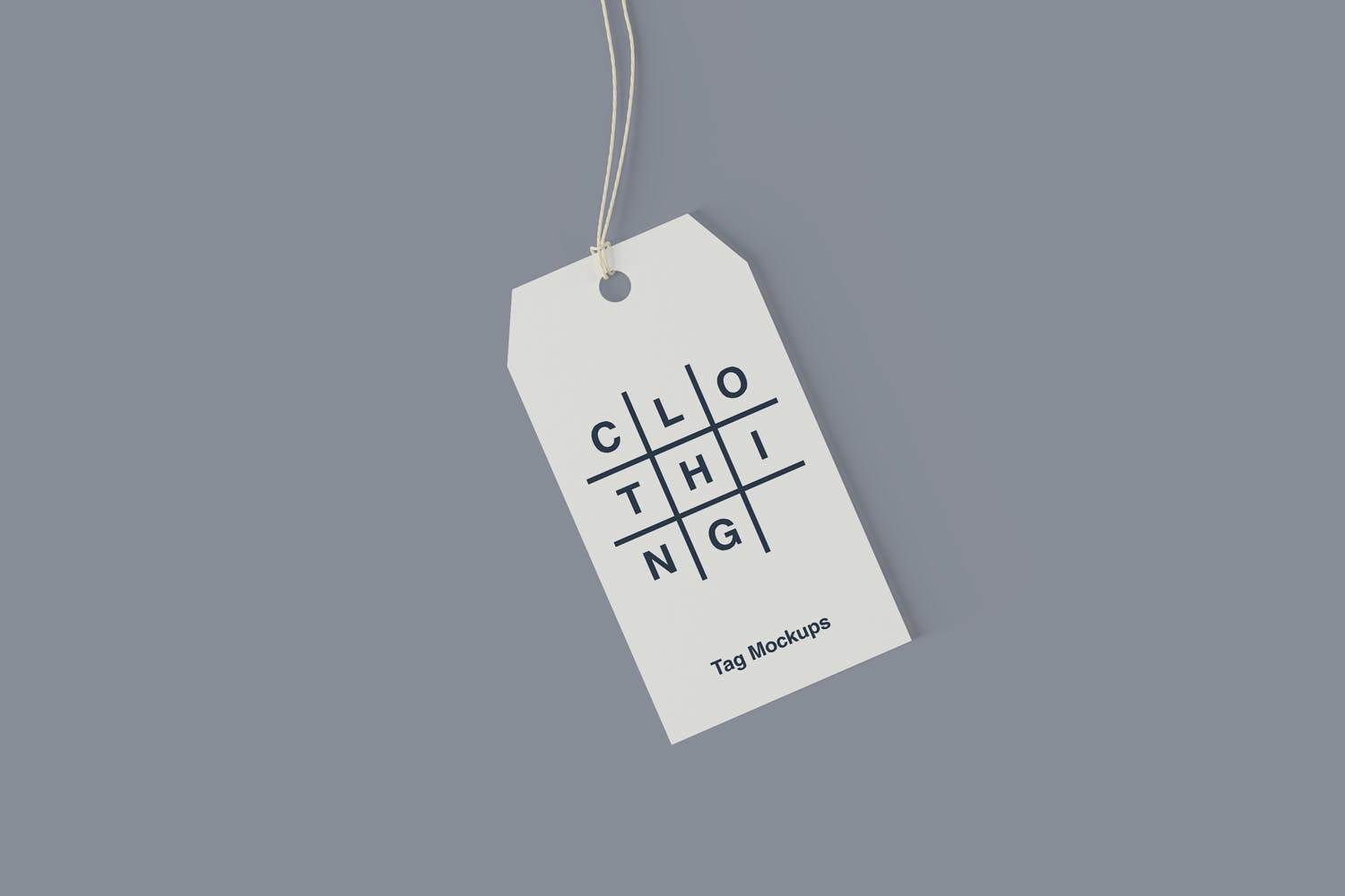 服装纸质吊牌标签设计图样机素材库精选 Clothing Tag Mockups插图(1)