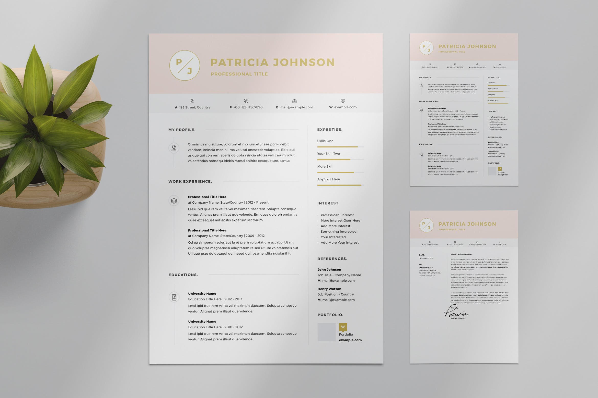粉色标题网页设计师/网站开发素材库精选简历模板 Resume Layout Set with Pink Header插图