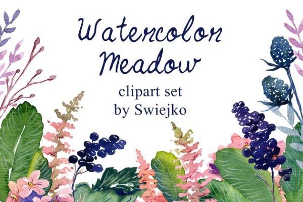 浪漫手绘乡村花卉浆果元素剪贴画 Watercolor floral set
