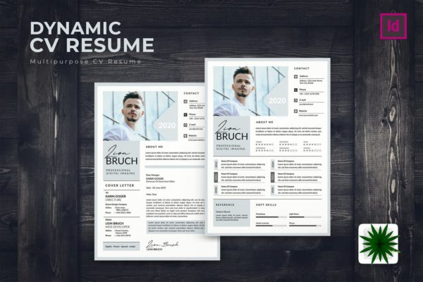 专业图形设计师电子素材库精选简历模板 Dynamic CV Resume