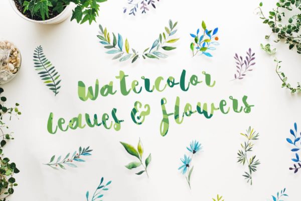 21组水彩叶子&amp;花卉剪贴画合集 21 Watercolor Leaves &amp; Flowers