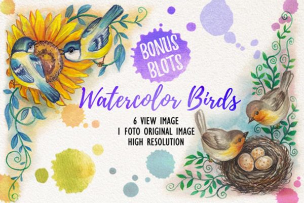 小鸟手绘水彩插图素材 Watercolor Birds