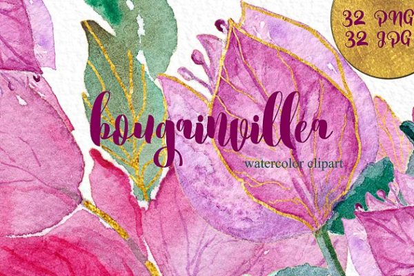 叶子红属&amp;倒挂金钟属花卉水彩剪贴画 Bougainvillea &amp; fuchsia watercolor