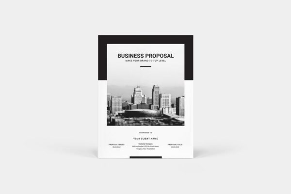 标准化商业计划书设计模板 Business Proposal