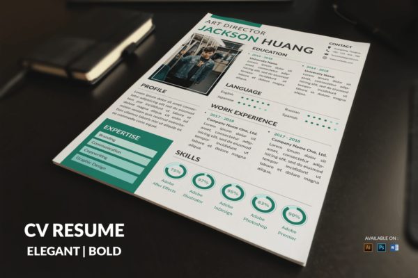 创意艺术经理/总监素材库精选简历模板 CV Resume Modern And Clean
