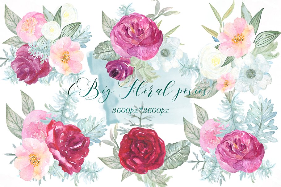 英国玫瑰花水彩剪贴画 Dusty miller & english roses clipart插图(3)
