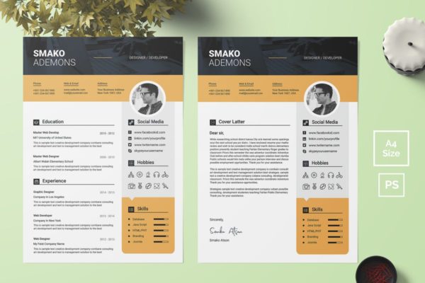 实用个人简历&amp;介绍信模板下载 Resume Template 43