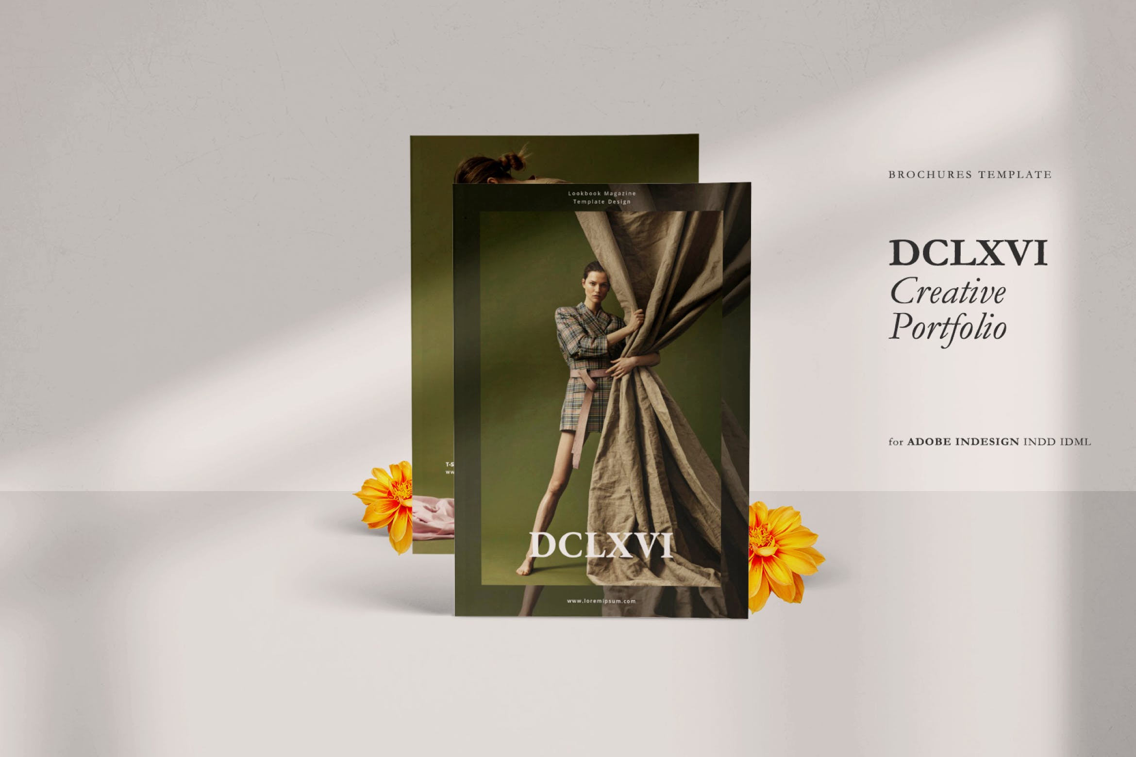 现代风格创意品牌产品素材库精选杂志设计模板 Magazine Business Agency DCLXVI Template – LS插图