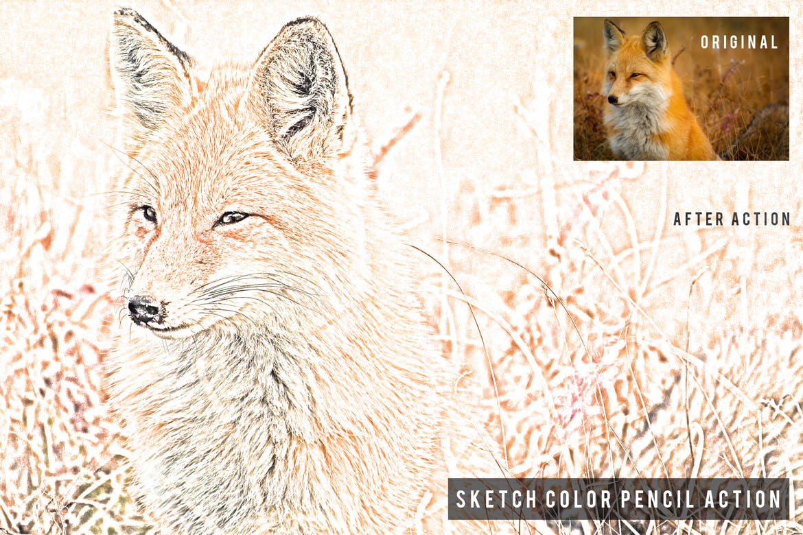 彩铅素描照片特效一键生成素材库精选PS动作 Sketch Color Pencil Action插图(1)