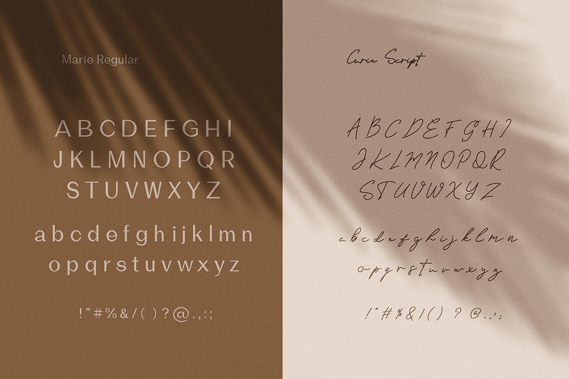 英文钢笔草书书法字体&无衬线字体合集 Marie Curie – Sans & Script插图(8)