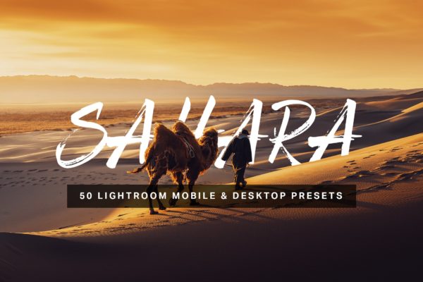 50款沙漠风景摄影调色滤镜素材库精选LR预设 50 Sahara Lightroom Presets and LUTs