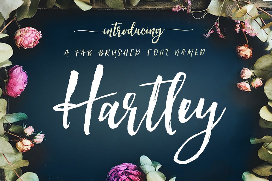 轻舞飞扬般流畅画笔笔刷英文字体 Hartley Rough Brush Script Font插图
