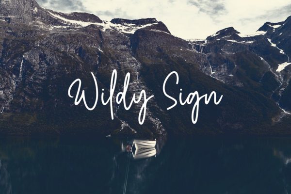 Monoline风格英文草书手写字体下载 Wildy Sign