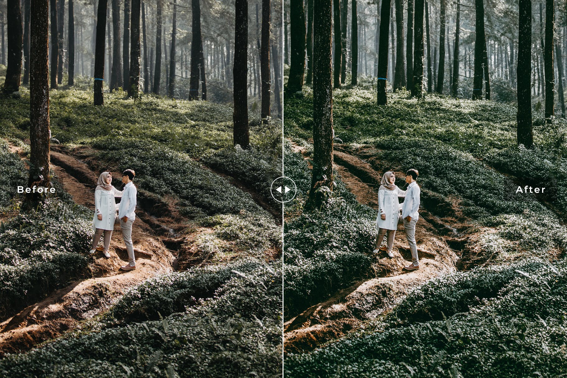 热带海岛旅行照片调色滤镜素材库精选LR预设 Indonesia Mobile & Desktop Lightroom Presets插图(4)