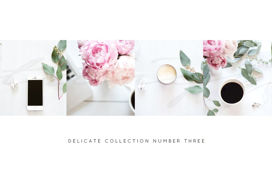 春季绚丽风格花卉配图 Styled Stock Photos+FREE blog header插图(2)