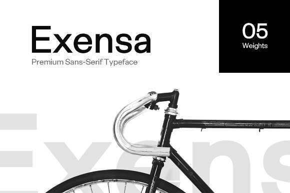 Exensa Grotesk Typeface + Web Fonts素材之家精选英文字体