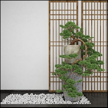 中式绿色植物盆栽松树盆景素材之家精选3D模型
