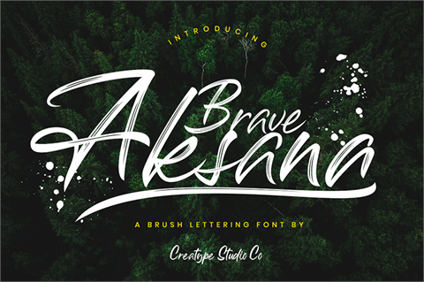 Aksana font素材之家精选英文字体