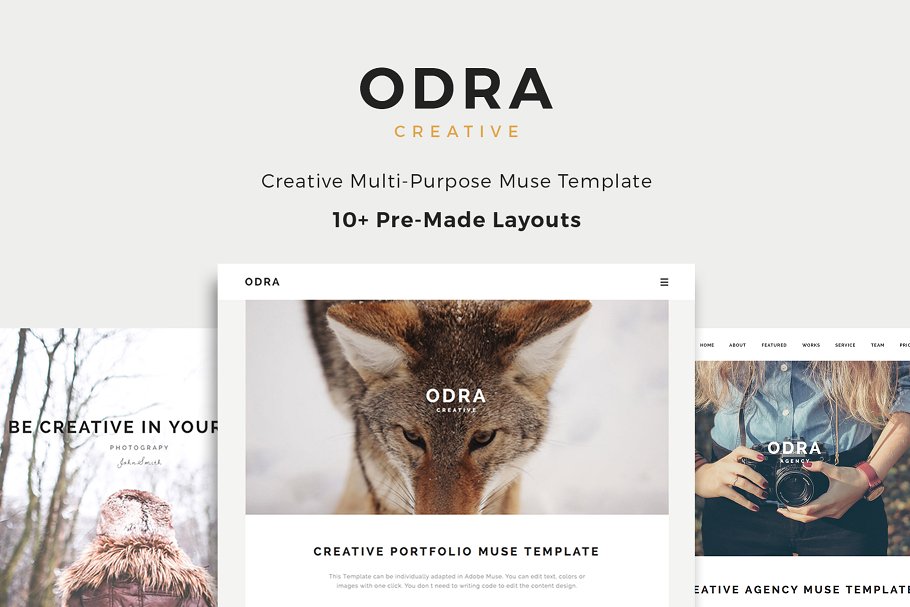 10款多功能Muse网站模板素材库精选 ODRA – Multi-Purpose Muse Template插图
