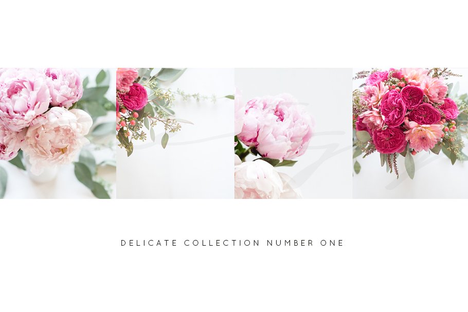 春季绚丽风格花卉配图 Styled Stock Photos+FREE blog header插图(1)