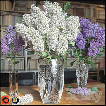紫色丁香花花卉盆景素材之家精选3D模型