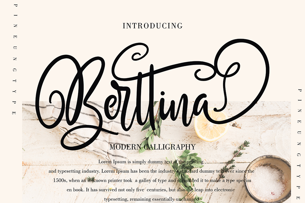 FontBundles – Berttina素材之家精选英文字体