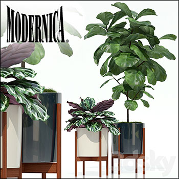 圆形花盆里的绿色植物素材之家精选3D模型