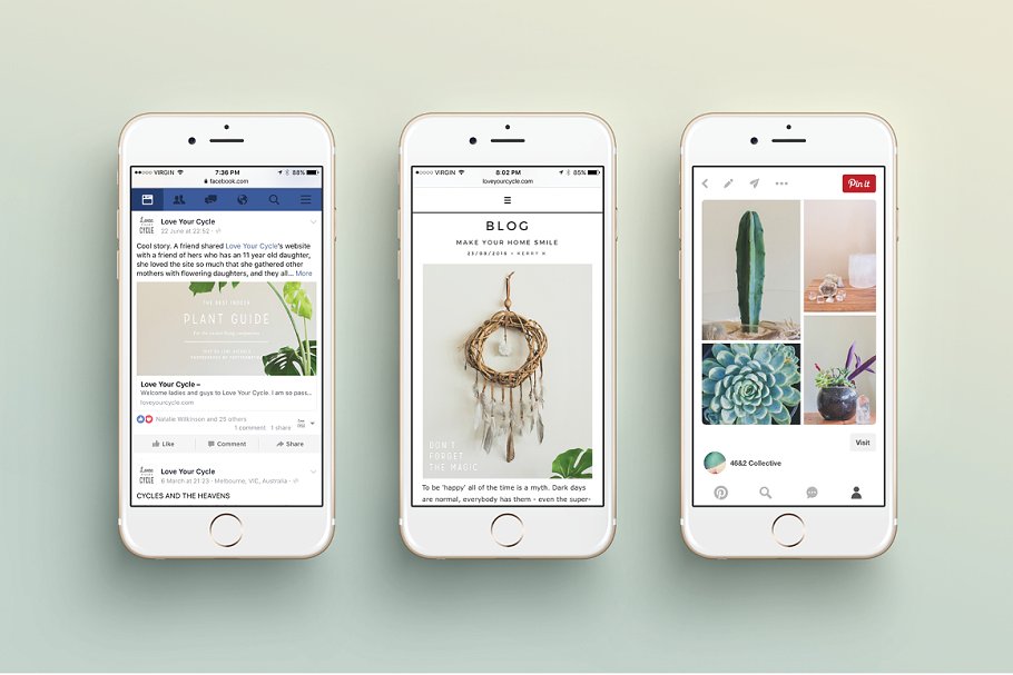 大自然植物之美社交媒体贴图素材包 NATURALIS  Social Media BUNDLE插图(2)