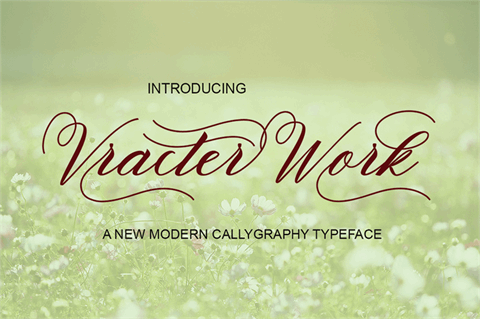 VracterWork font素材之家精选英文字体