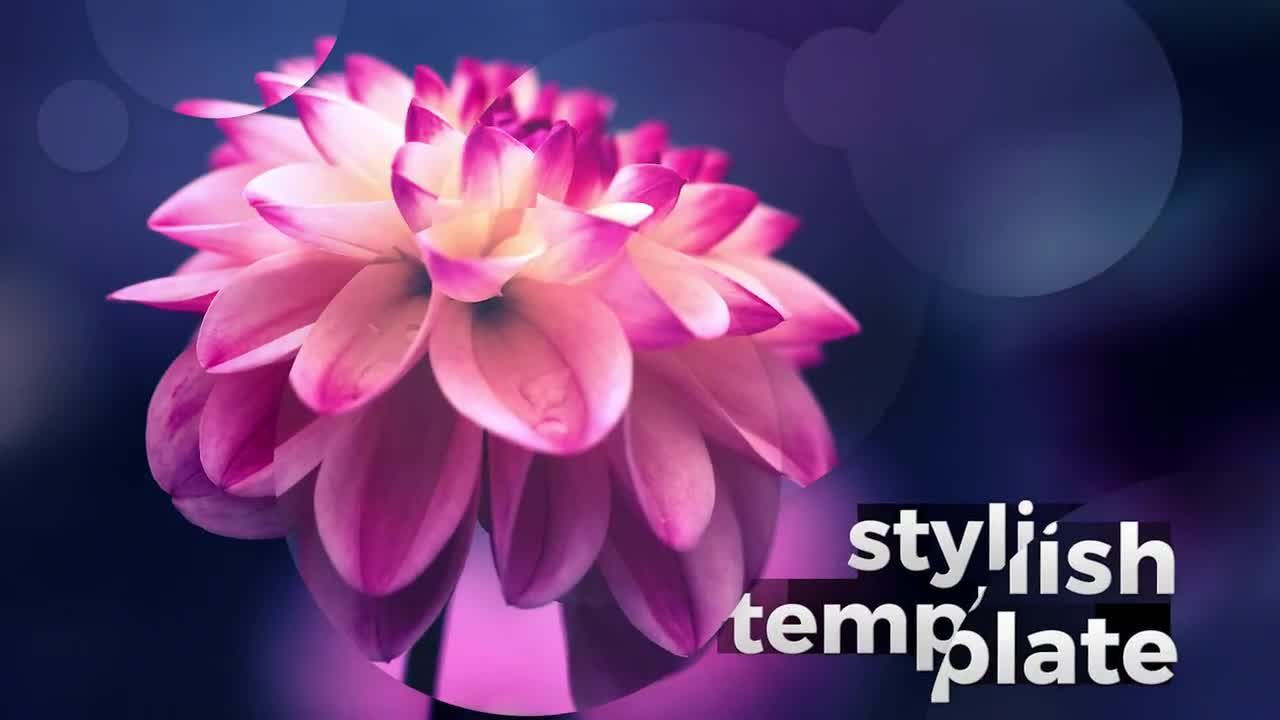 简单的文本动画现代幻灯片素材库精选pr模板