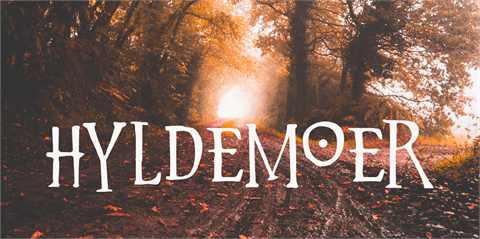 Hyldemoer DEMO font素材之家精选英文字体