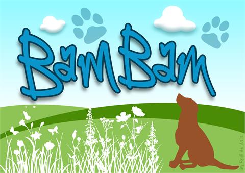BamBam font素材之家精选英文字体