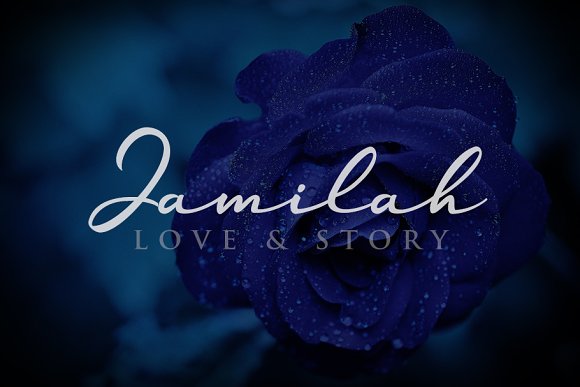 Jamilah Font素材之家精选英文字体
