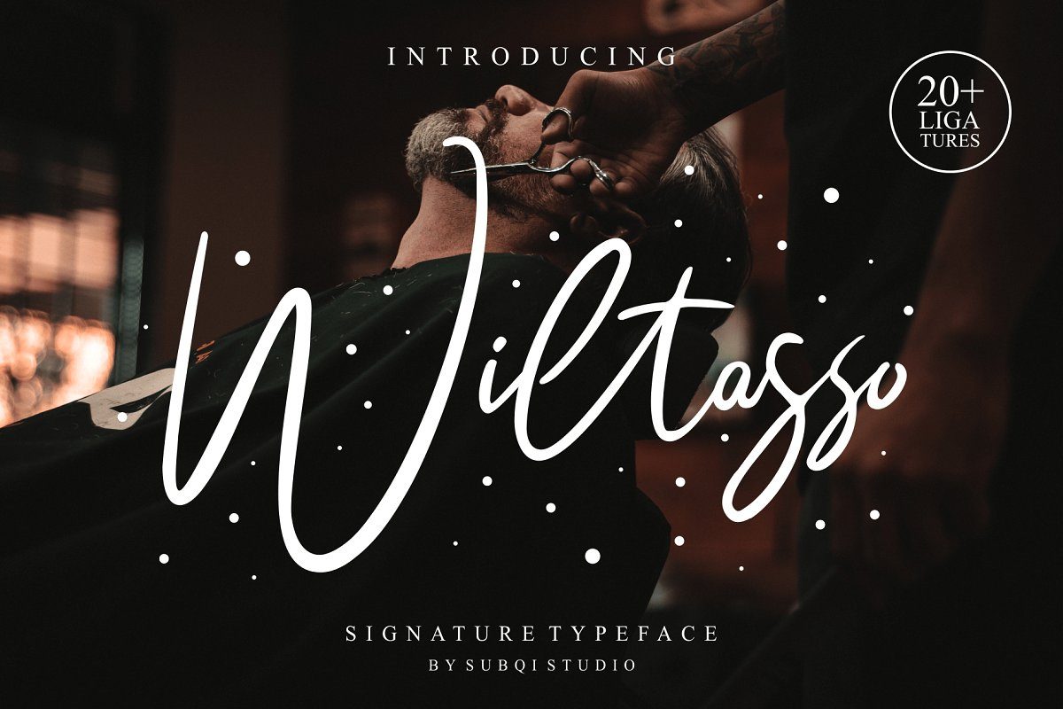 Wiltasso Font素材之家精选英文字体