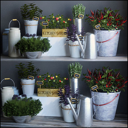 厨房绿色植物花盆花卉装饰品素材之家精选3D模型