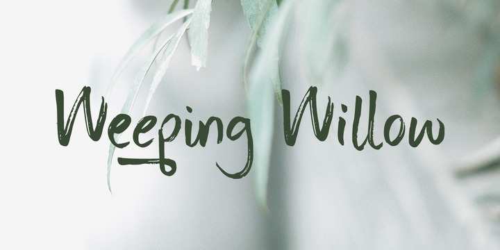 Weeping Willow Font素材之家精选英文字体