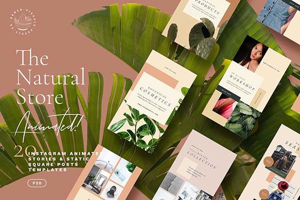 时尚高端Instagram故事动画模板素材库精选 Natural Store Animated Stories [psd]