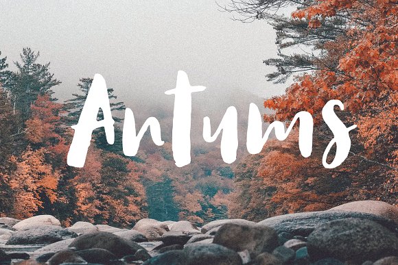 Antums Brush Font素材之家精选英文字体