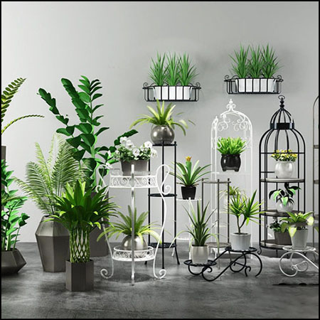 田园绿色植物盆栽和花架素材之家精选3D模型