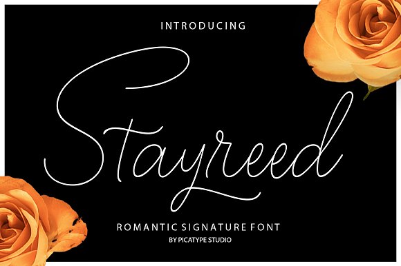 Stayreed Font素材之家精选英文字体
