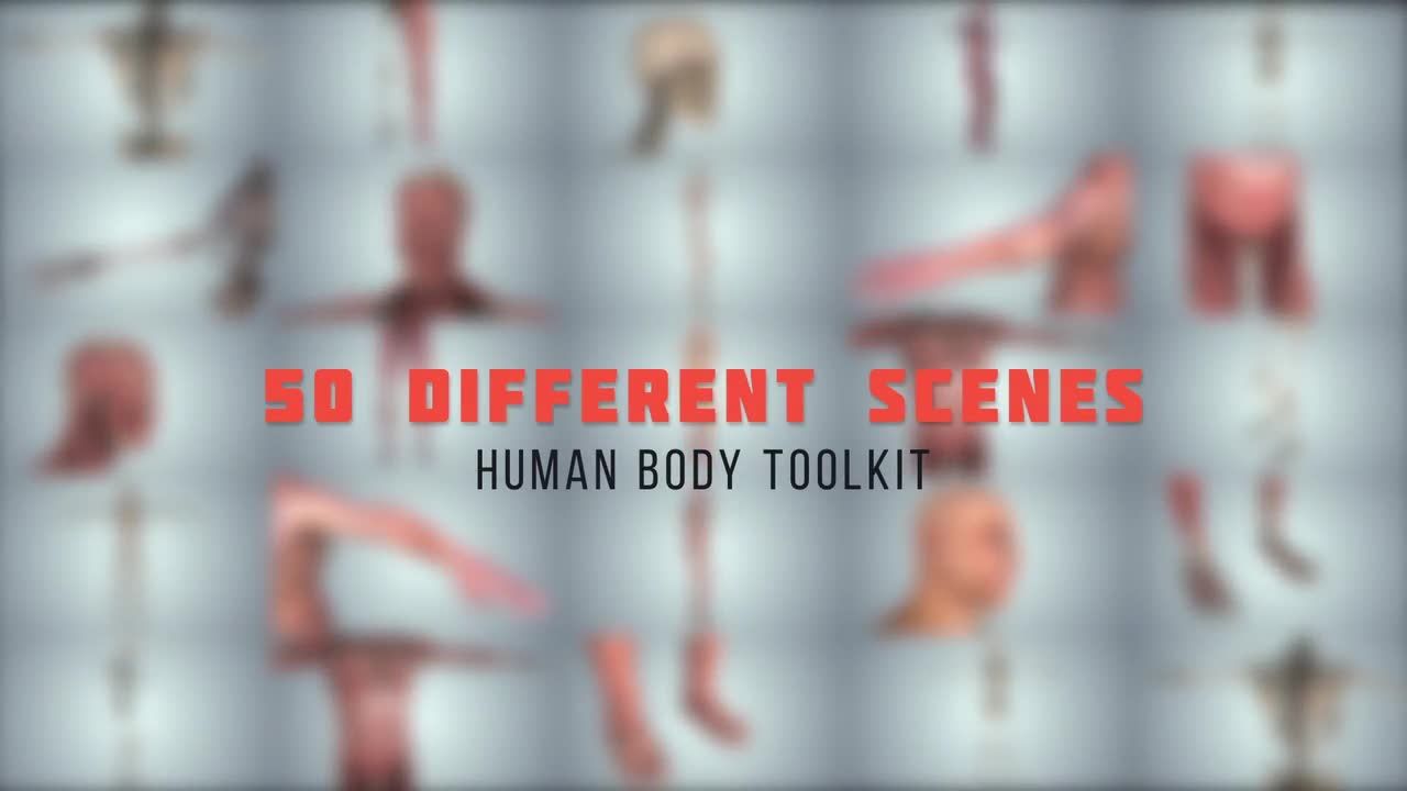 生动新颖的人体工具包素材库精选AE模板