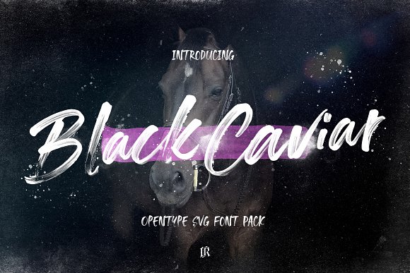 Black Caviar SVG Font素材之家精选英文字体