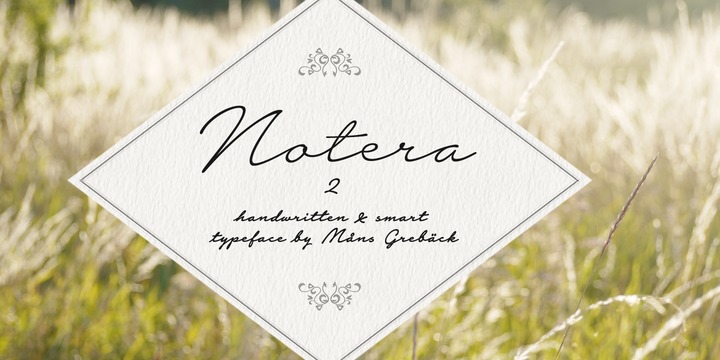 Notera 2 Font Family素材之家精选英文字体