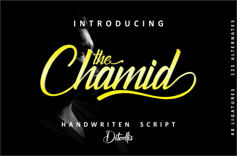 The Chamid Personal Use Only font素材之家精选英文字体