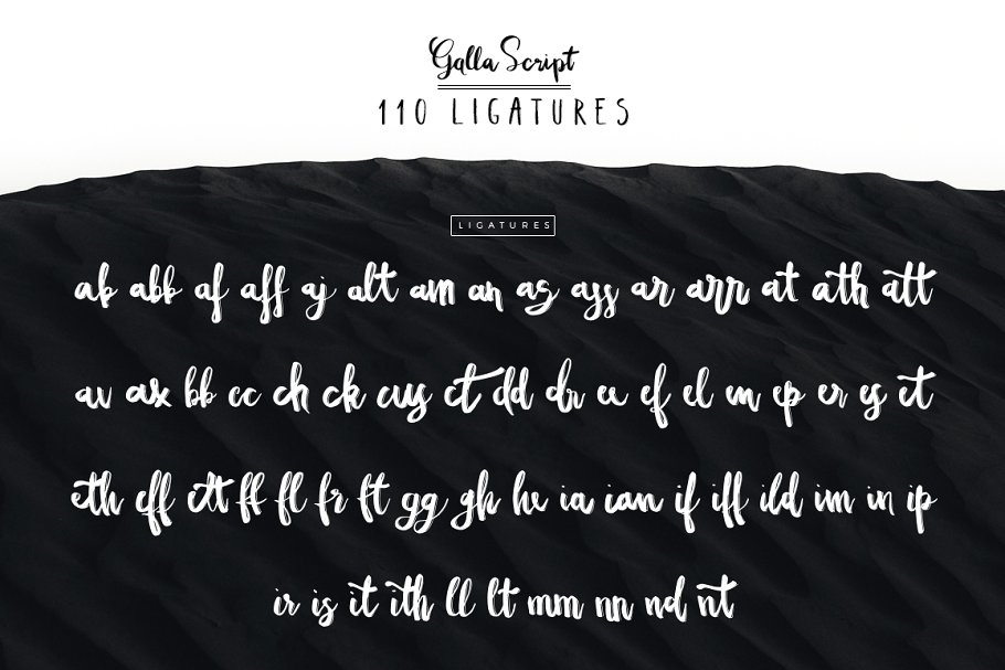 13款手写英文字体合集&Logo模板、矢量插画 Wonderland Fonts Pack & Branding Kit插图(94)